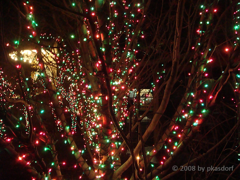 013 Toledo Zoo Light Show [2008 Dec 27].JPG - Scenes from the Toledo Zoo Light Show.